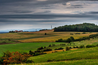 Scenic view of agricultural field against sky