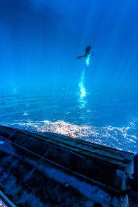 Scuba diver swimming in sea