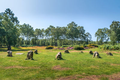 Nine ladies stone circle, stanton in the peak, derbyshire uk. 