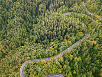 Winding road through the forest, from high mountain pass, in autumn season. aerial view by drone