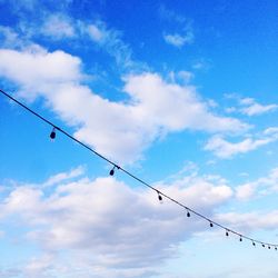 Low angle view of birds flying against sky