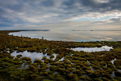 Scenic view of land against sky