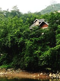 View of houses and trees