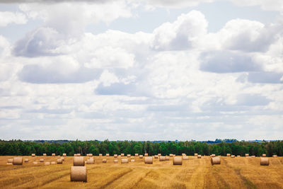 Hay bales on field against sky