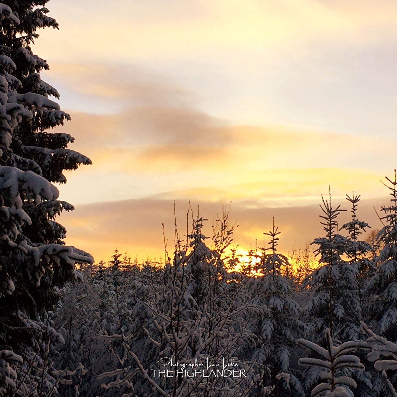 sunset, sky, nature, no people, tree, beauty in nature, tranquility, scenics, tranquil scene, cloud - sky, outdoors, landscape, cold temperature, winter, day