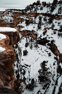 Snow covered trees by rocks