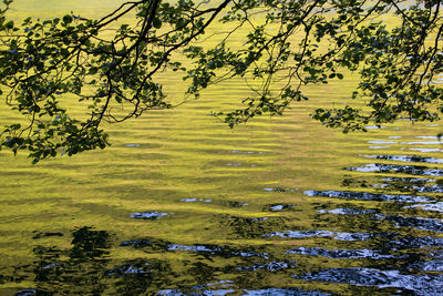 Scenic view of landscape