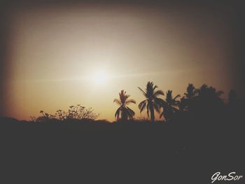 Silhouette trees against sky during sunset