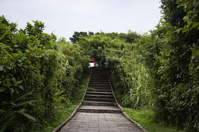 Footpath amidst trees in forest against sky