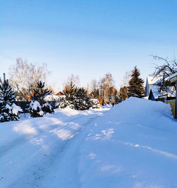 Snow covered trees on field against sky