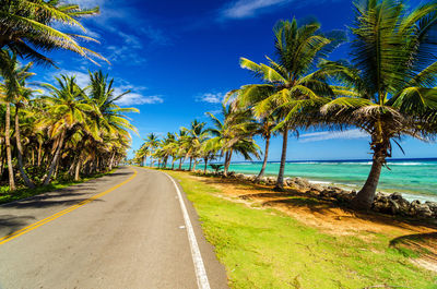 Empty highway amidst palm trees by caribbean sea