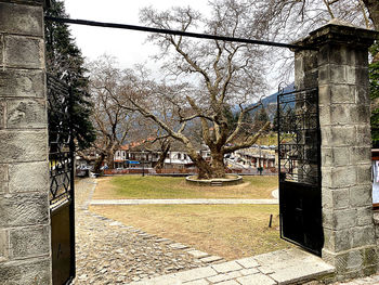 Bare trees and buildings in park