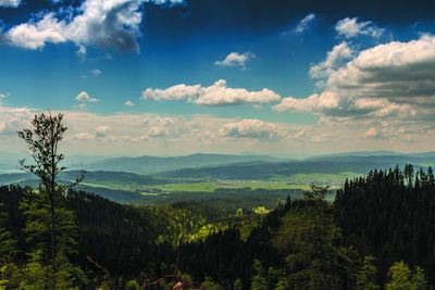 View of the mountains 