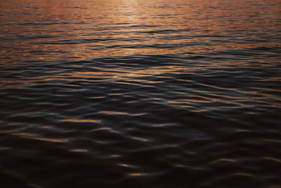 reflection