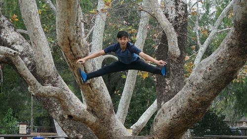 Portrait of young man jumping against trees in public park