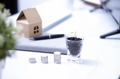 Close-up of potted plant on table