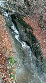 View of stream along trees