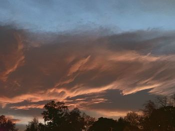 Low angle view of trees against dramatic sky