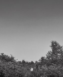 Low angle view of trees against clear sky