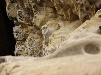 Close-up of cave