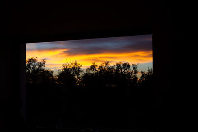 Silhouette trees against sky during sunset