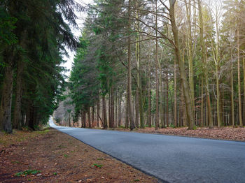 Empty road amidst trees on field