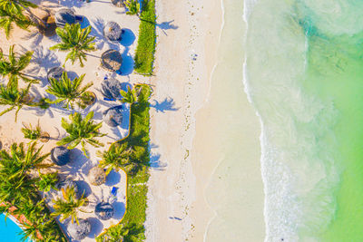 Aerial view of palms on the sandy beach of indian ocean at sunny day. summer holiday in zanzibar, 