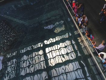 High angle view of people looking at reflection in pond