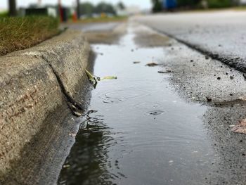 Close-up of wet puddle