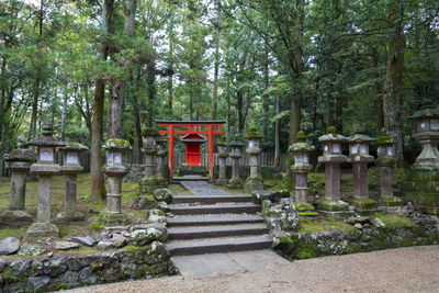 Staircase leading towards temple against trees