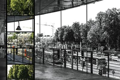 View of trees in the city