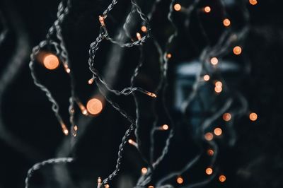 Close-up of clothes hanging against black background