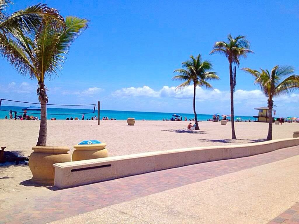 blue, palm tree, tree, water, clear sky, sea, sky, built structure, sunlight, beach, building exterior, shadow, architecture, day, outdoors, low angle view, tranquility, incidental people, nature, horizon over water