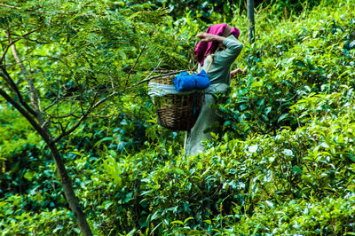 Man working in basket