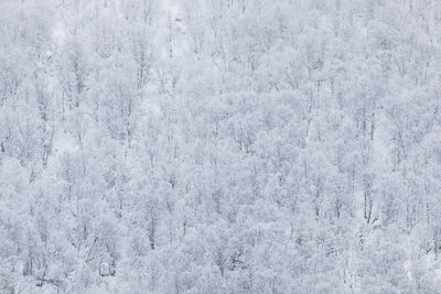 High angle view of snowflakes on snow