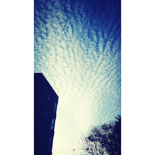 low angle view, sky, transfer print, built structure, architecture, auto post production filter, blue, building exterior, high section, copy space, nature, outdoors, cloud - sky, no people, tree, day, cloud, weather, silhouette, clear sky