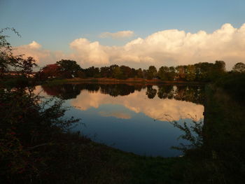 Reflection of trees in water against sky