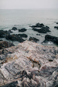 Surface level of rocks on shore against sky