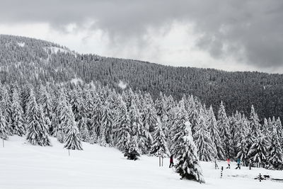 Scenic view of snow field against sky