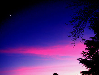 Low angle view of silhouette trees against sky