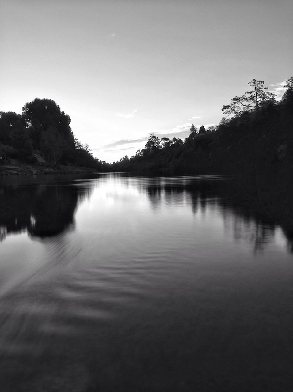 tree, water, tranquil scene, tranquility, reflection, lake, waterfront, scenics, beauty in nature, nature, clear sky, sky, silhouette, calm, dusk, idyllic, river, standing water, outdoors, copy space