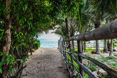 Scenic view of sea by trees