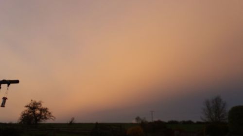 Silhouette trees on field against clear sky at sunset