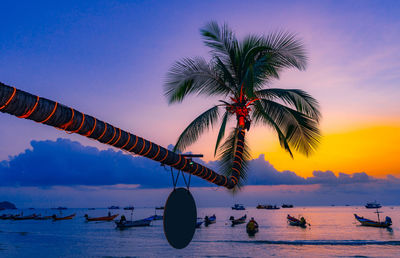 Coconut tree on sairee beach at sunset ,koh toa island, surat thani ,thailand