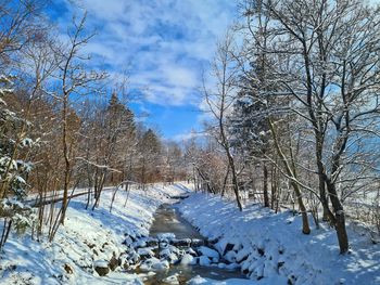 Bare trees on snow covered land against sky