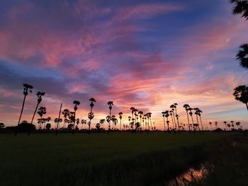 Scenic view of field against sky during sunset