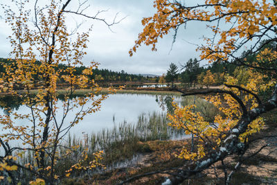 Scenic view of lake against sky during autumn