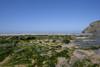 Scenic view of sea against clear blue sky