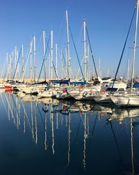 Sailboats in marina