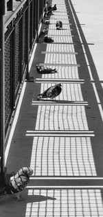 High angle view of people walking on street